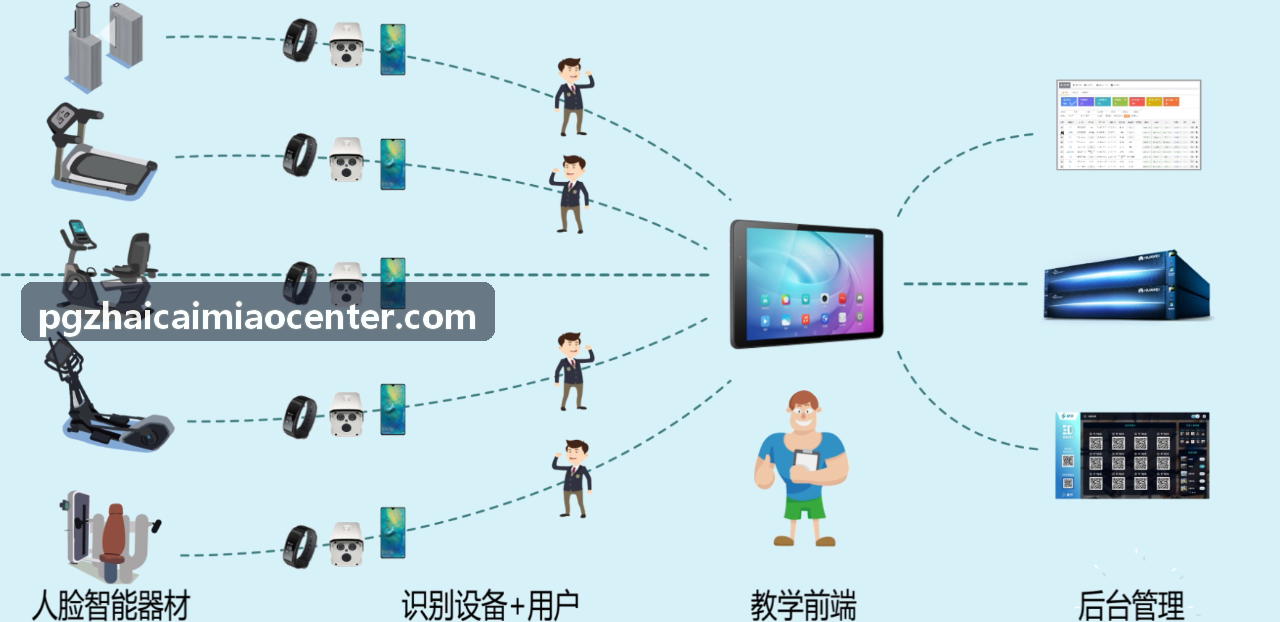 策略构建与阵容协同计算器招财喵